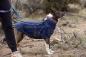 Preview: Ruffwear Crag Collar Alpine Dusk 28-36cm Preview: Ruffwear Crag Collar Alpine Dusk 28-36cm